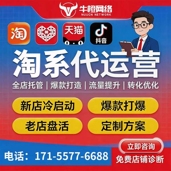 怀化电商代运营