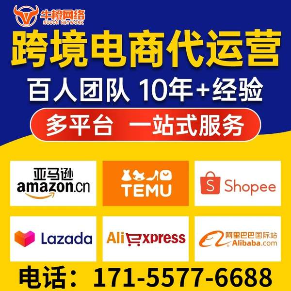 怀化电商代运营