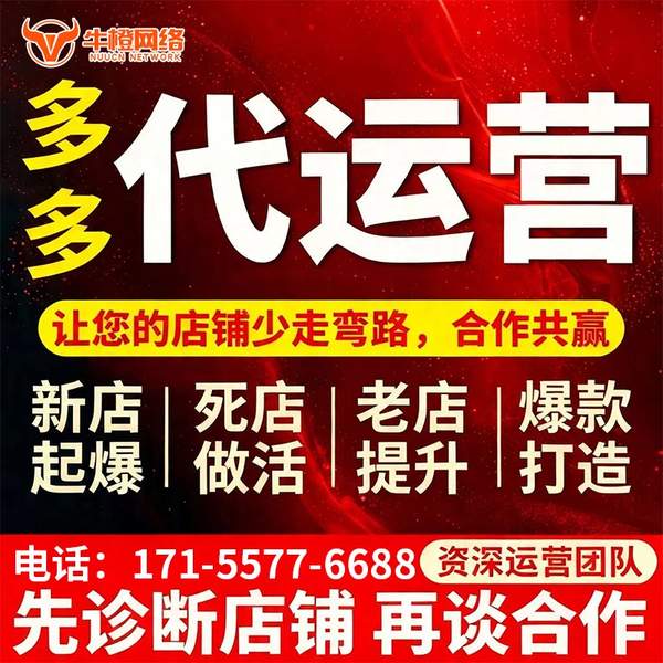 怀化电商代运营