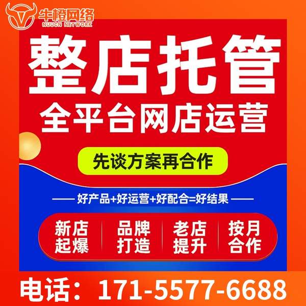 怀化电商代运营