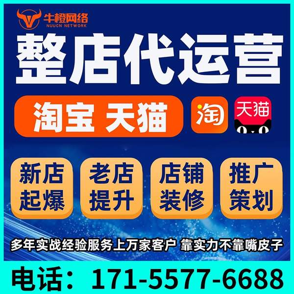 怀化电商代运营