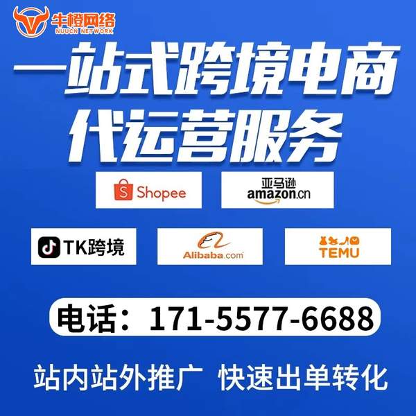 怀化电商代运营