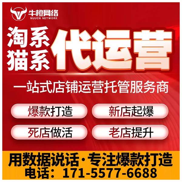 怀化电商代运营